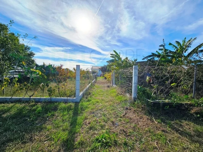 Moradia T4 para Venda em Lavos Foto 42