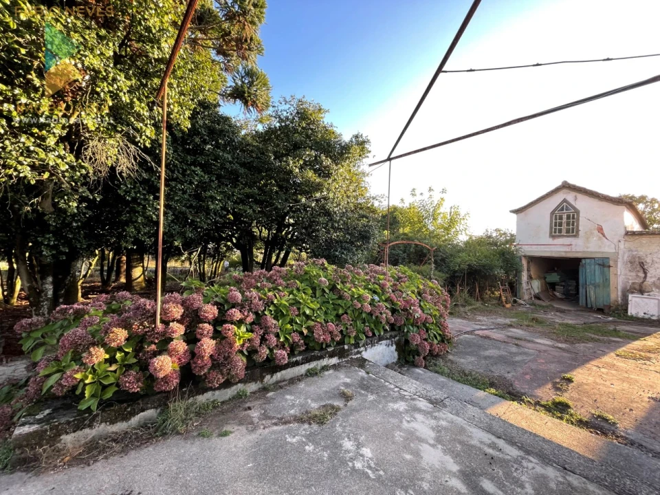 Quinta T7 para Venda em Santa Marta de Portuzelo Foto 20