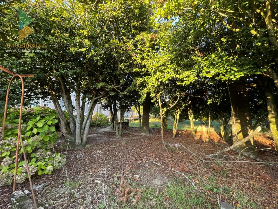 Quinta T7 para Venda em Santa Marta de Portuzelo Foto 21