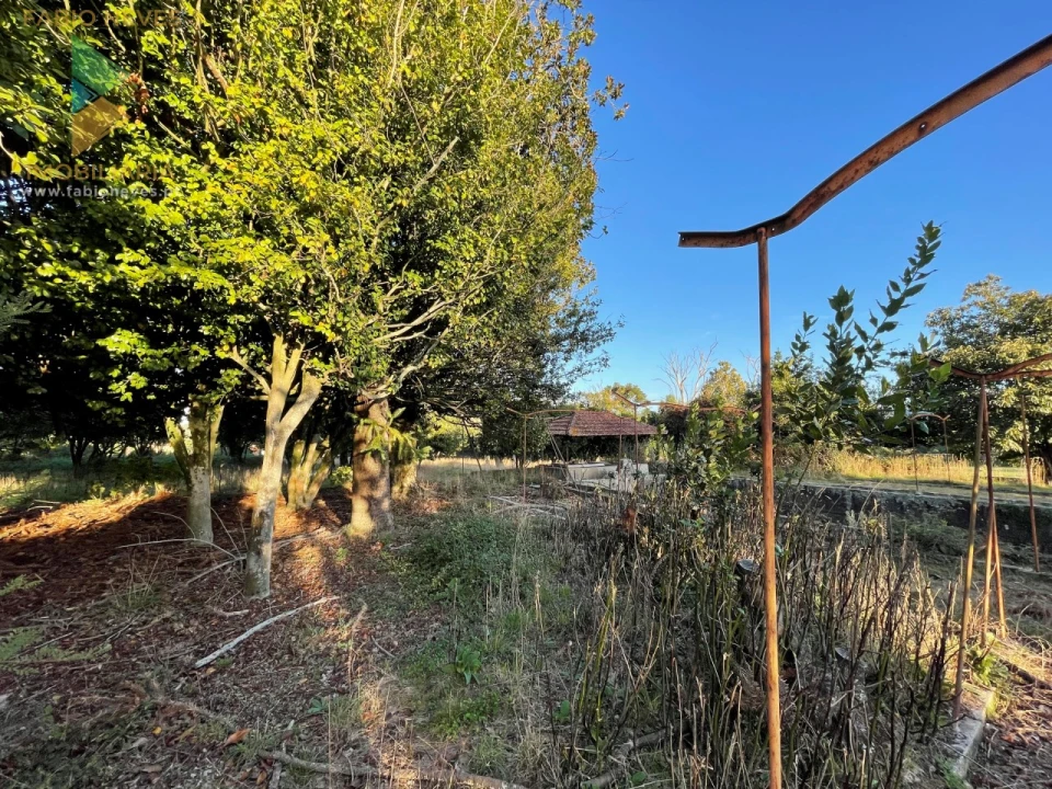 Quinta T7 para Venda em Santa Marta de Portuzelo Foto 22