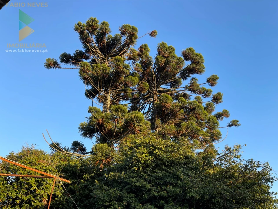 Quinta T7 para Venda em Santa Marta de Portuzelo Foto 25