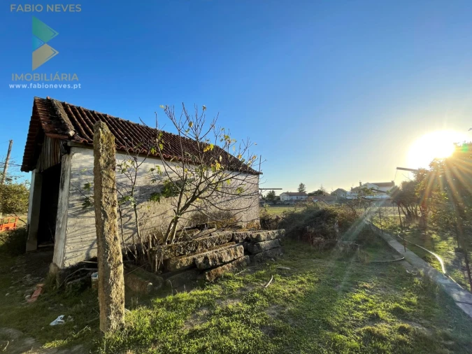 Quinta T7 para Venda em Santa Marta de Portuzelo Foto 11