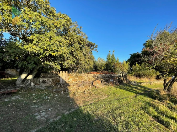 Quinta T7 para Venda em Santa Marta de Portuzelo Foto 14