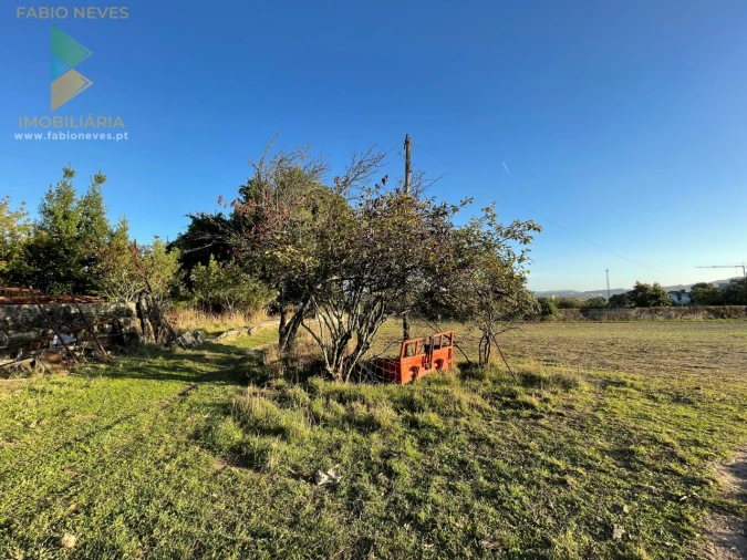 Quinta T7 para Venda em Santa Marta de Portuzelo Foto 15