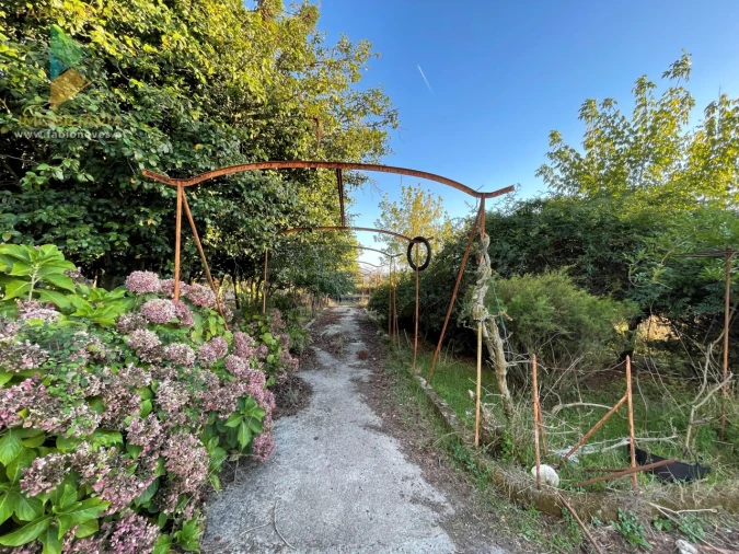 Quinta T7 para Venda em Santa Marta de Portuzelo Foto 17