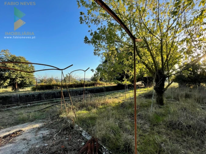 Quinta T7 para Venda em Santa Marta de Portuzelo Foto 23