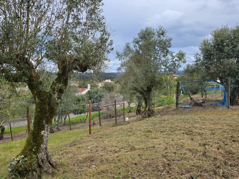 Moradia T2 para Venda em Serra e Junceira Foto 7