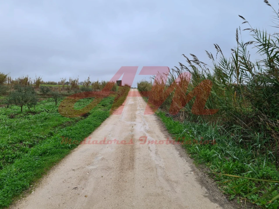 Terreno Agricola ou Rústico para Venda em Lamas e Cercal Foto 8