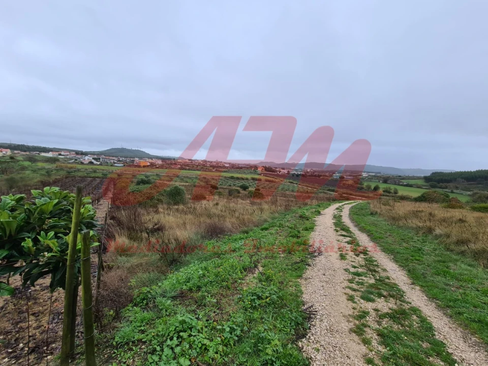 Terreno Agricola ou Rústico para Venda em Lamas e Cercal Foto 10