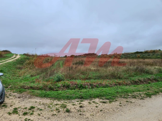 Terreno Agricola ou Rústico para Venda em Lamas e Cercal Foto 2