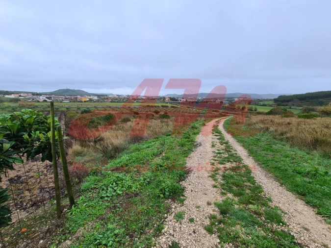 Terreno Agricola ou Rústico para Venda em Lamas e Cercal Foto 1