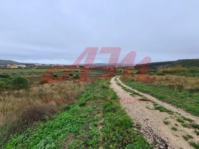 Terreno Agricola ou Rústico para Venda em Lamas e Cercal Foto 3