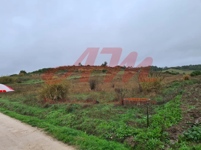 Terreno Agricola ou Rústico para Venda em Lamas e Cercal Foto 12