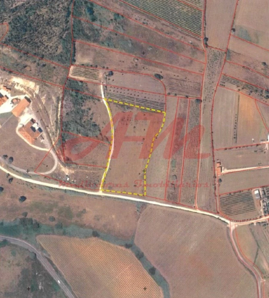 Terreno Agricola ou Rústico para Venda em Lamas e Cercal Foto 5