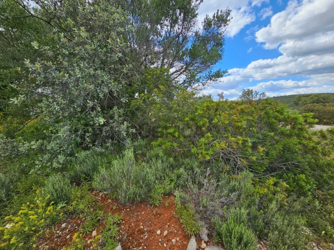 Terreno Agricola ou Rústico para Venda em Querença, Tôr e Benafim