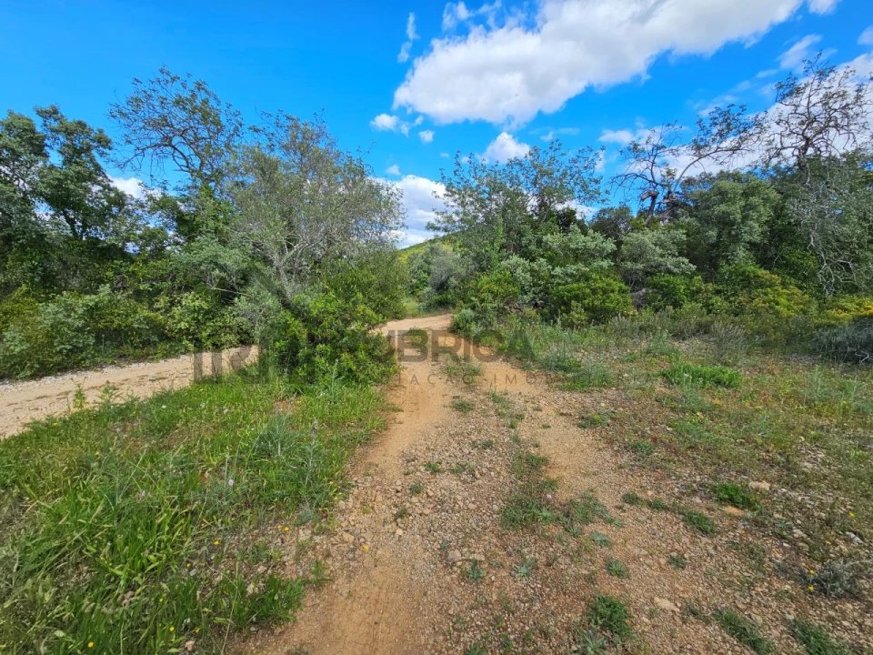 Terreno Agricola ou Rústico para Venda em Querença, Tôr e Benafim Foto 4