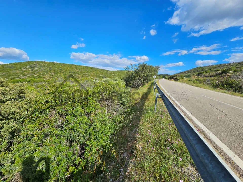 Terreno Agricola ou Rústico para Venda em Querença, Tôr e Benafim Foto 7