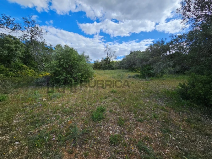 Terreno Agricola ou Rústico para Venda em Querença, Tôr e Benafim