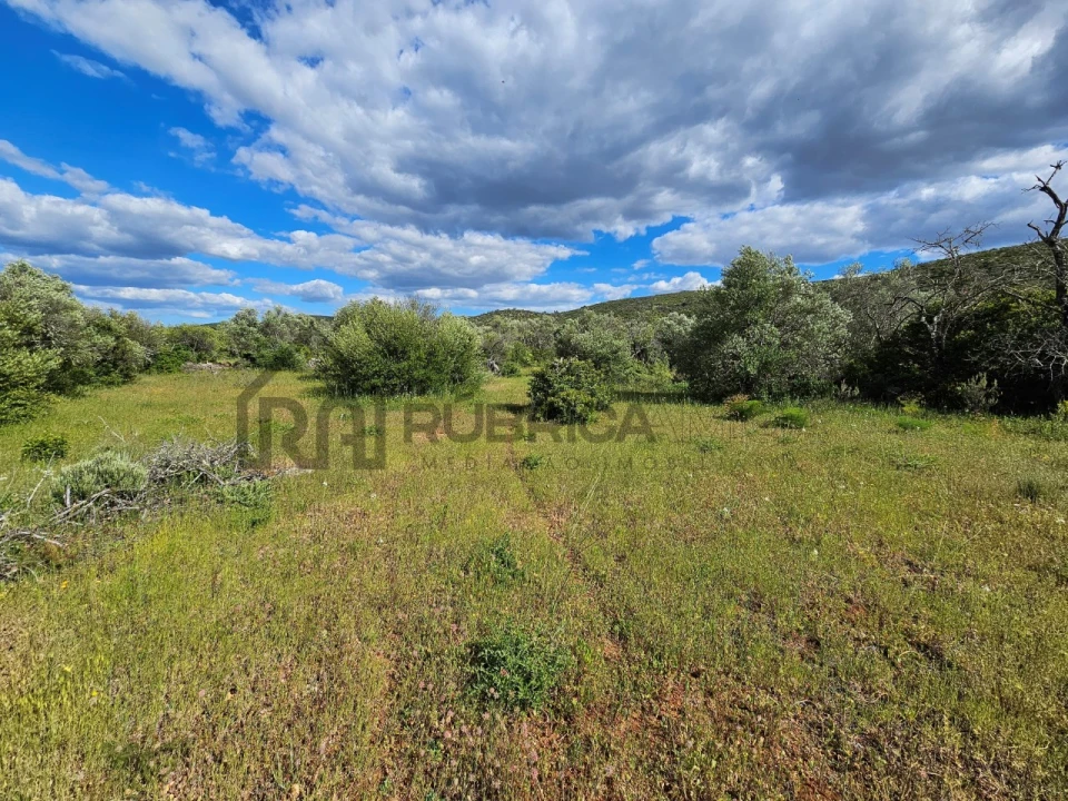 Terreno Agricola ou Rústico para Venda em Querença, Tôr e Benafim Foto 1