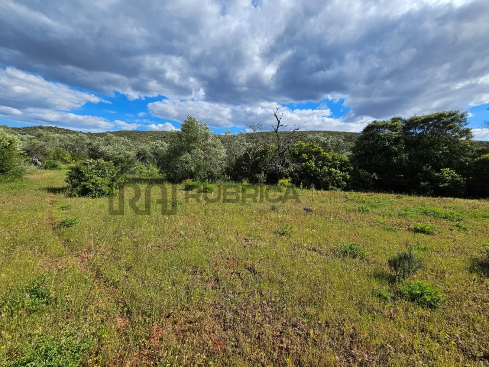 Terreno Agricola ou Rústico para Venda em Querença, Tôr e Benafim Foto 3