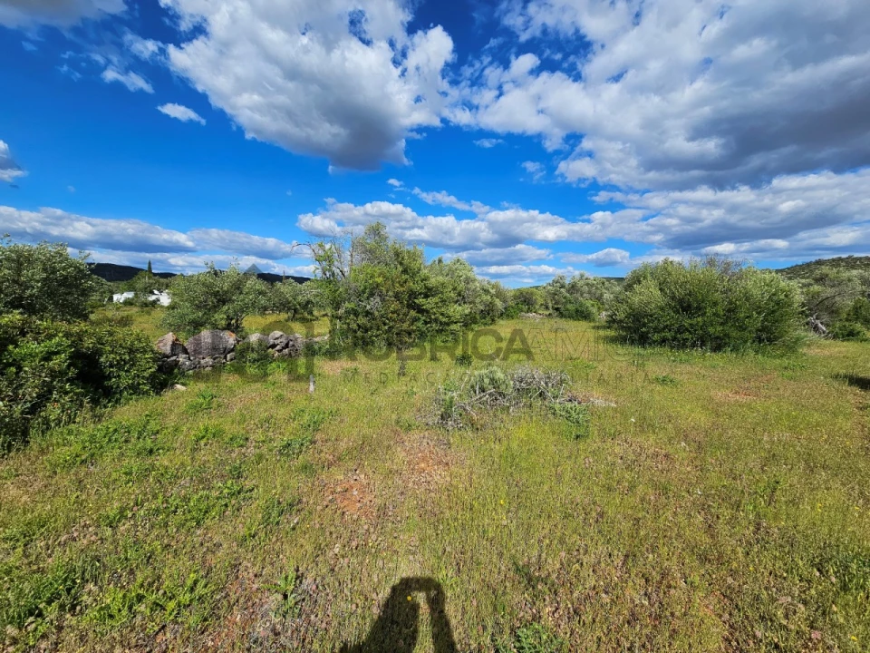 Terreno Agricola ou Rústico para Venda em Querença, Tôr e Benafim Foto 4
