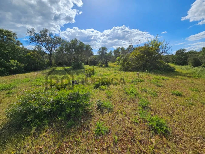 Terreno Agricola ou Rústico para Venda em Querença, Tôr e Benafim Foto 5