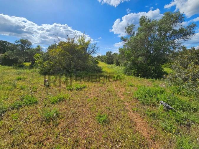 Terreno Agricola ou Rústico para Venda em Querença, Tôr e Benafim Foto 6