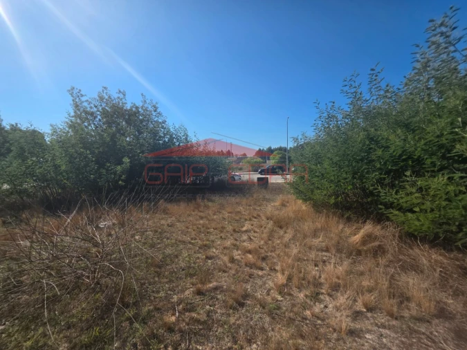 Terreno para Venda em Ovar, São João, Arada e São Vicente de Pereira Jusã Foto 5