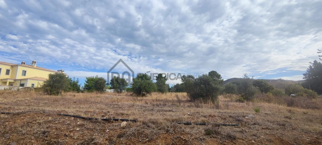 Terreno para Venda em Salir Foto 3