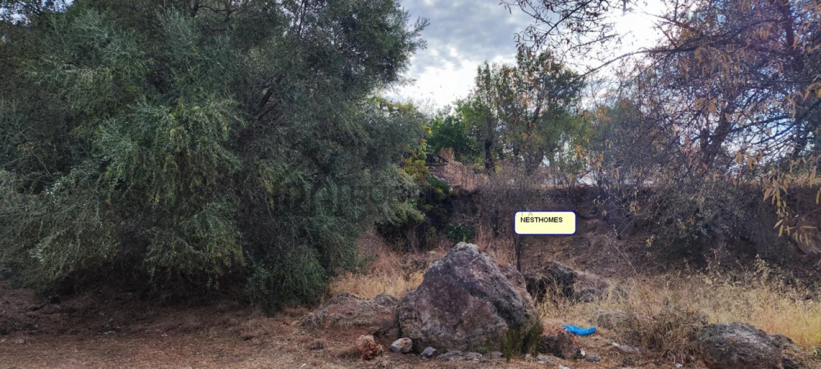 Terreno para Venda em Salir Foto 2