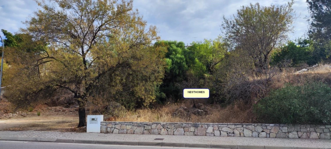 Terreno para Venda em Salir Foto 1