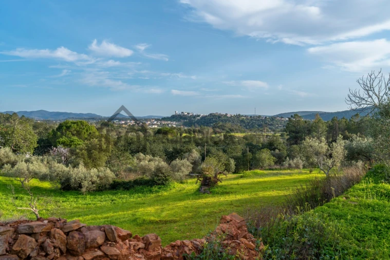 Moradia T1 para Venda em Salir Foto 6