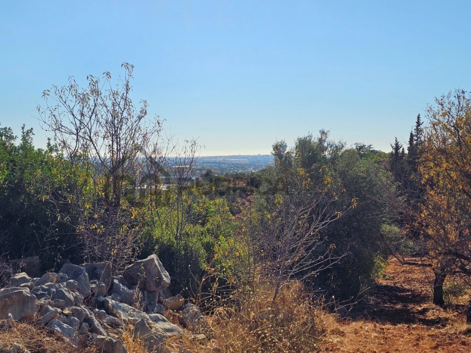 Moradia T3 para Venda em Loule (São Clemente) Foto 4