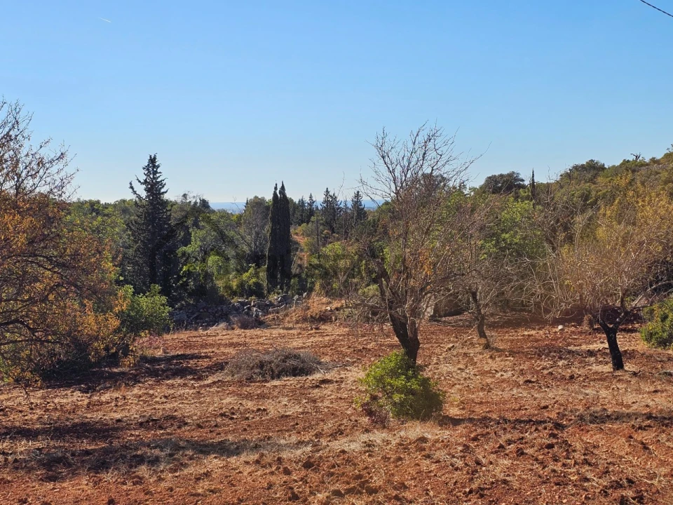 Moradia T3 para Venda em Loule (São Clemente) Foto 6