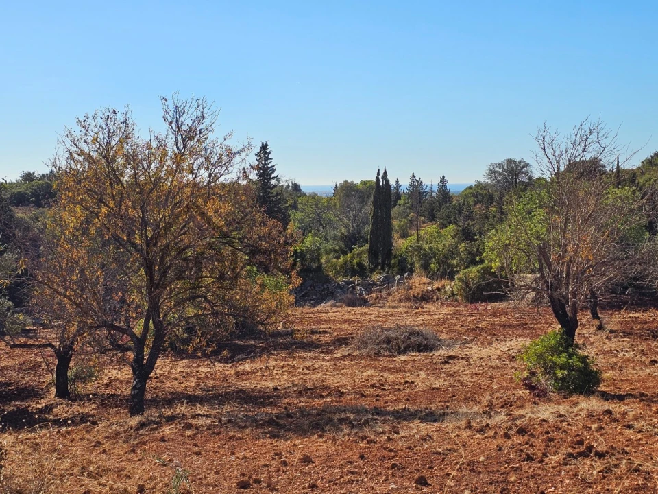 Moradia T3 para Venda em Loule (São Clemente) Foto 26