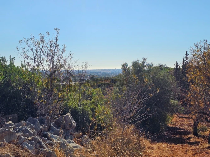 Moradia T3 para Venda em Loule (São Clemente) Foto 4