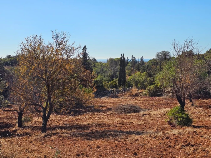Moradia T3 para Venda em Loule (São Clemente) Foto 26