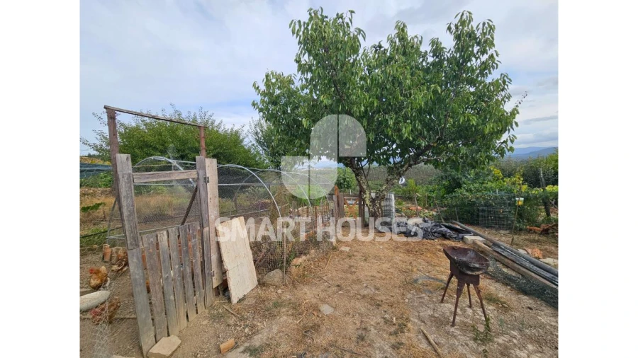 Moradia T2 para Venda em Friúmes e Paradela Foto 31