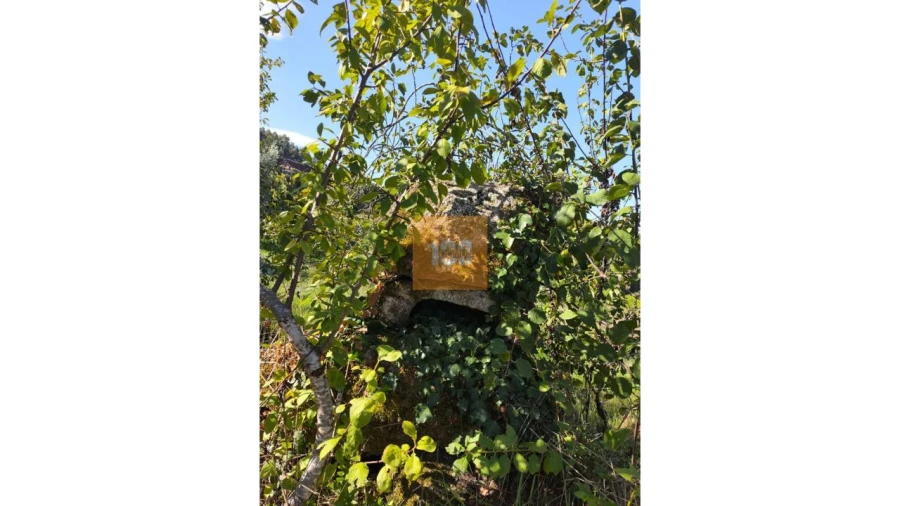 Quinta para Venda em São João do Monte e Mosteirinho Foto 8