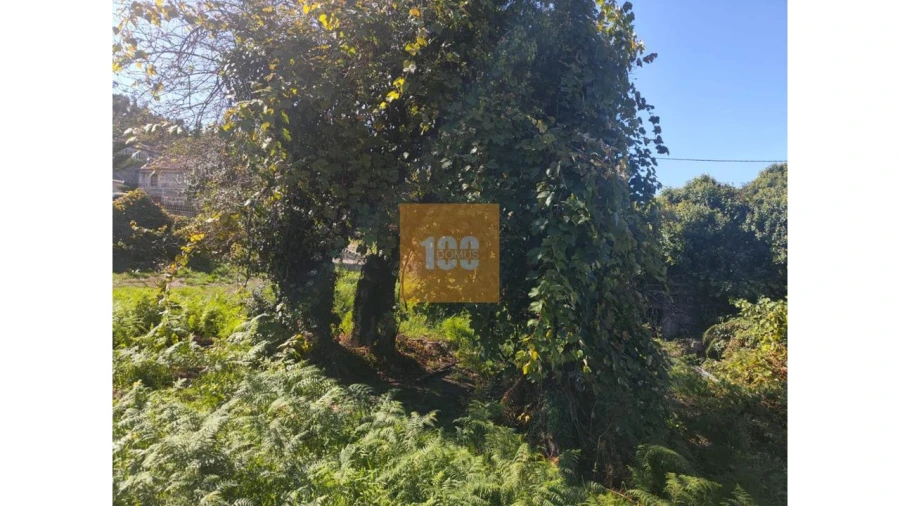 Quinta para Venda em São João do Monte e Mosteirinho Foto 9