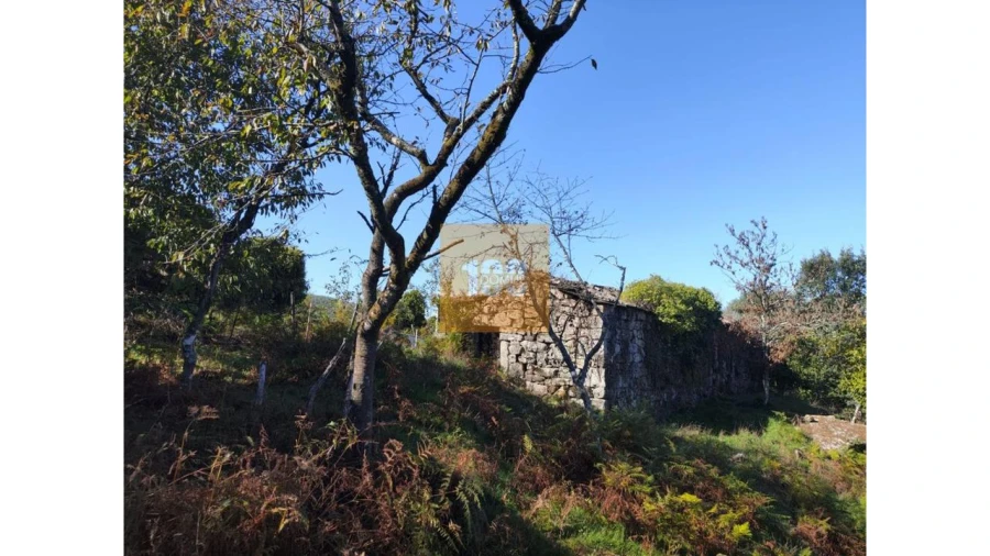 Quinta para Venda em São João do Monte e Mosteirinho Foto 12
