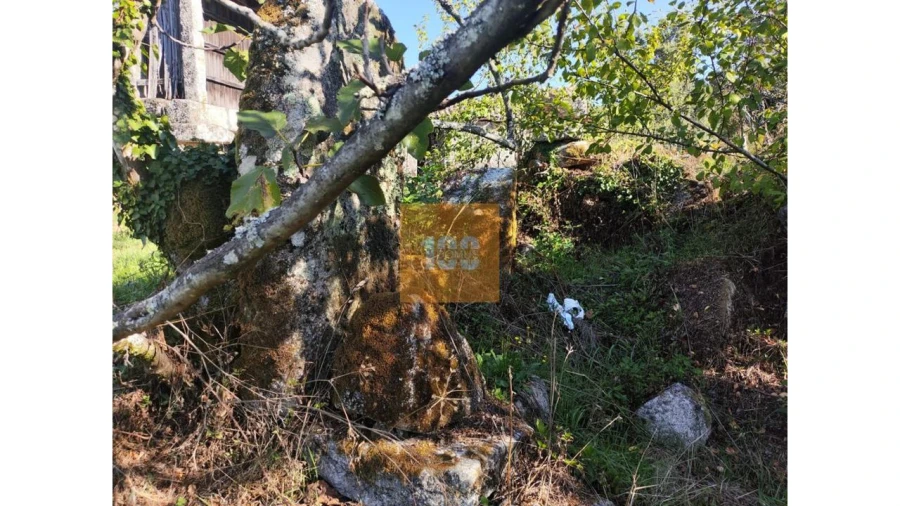 Quinta para Venda em São João do Monte e Mosteirinho Foto 23