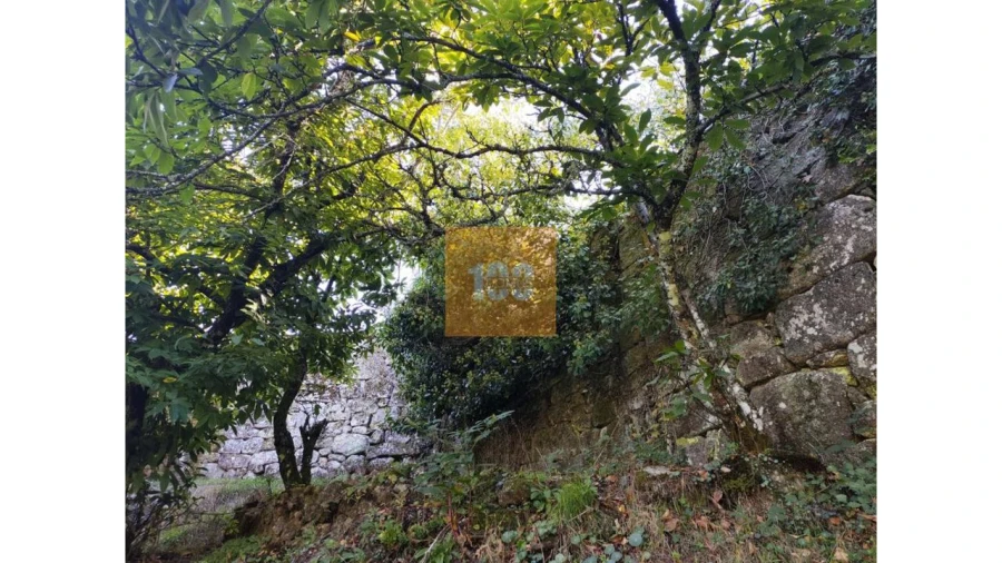 Quinta para Venda em São João do Monte e Mosteirinho Foto 30