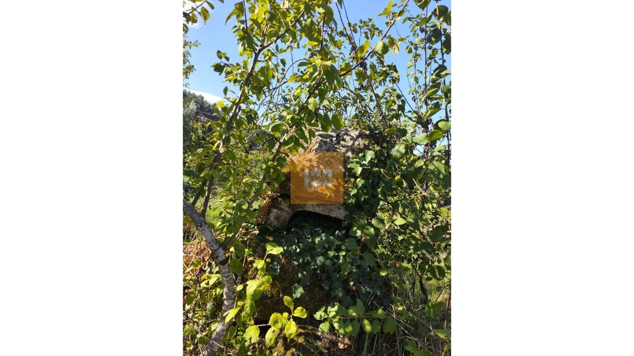 Quinta para Venda em São João do Monte e Mosteirinho Foto 8