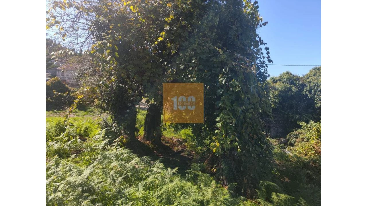 Quinta para Venda em São João do Monte e Mosteirinho Foto 9