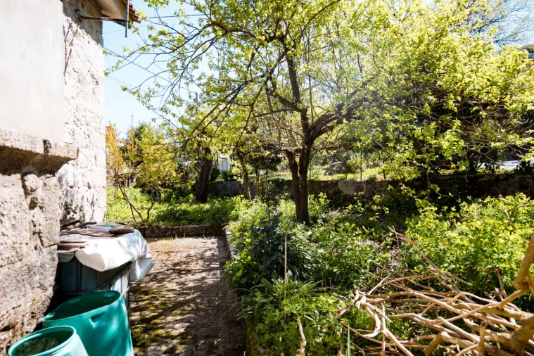 Moradia T3 para Venda em Serzedelo Foto 3