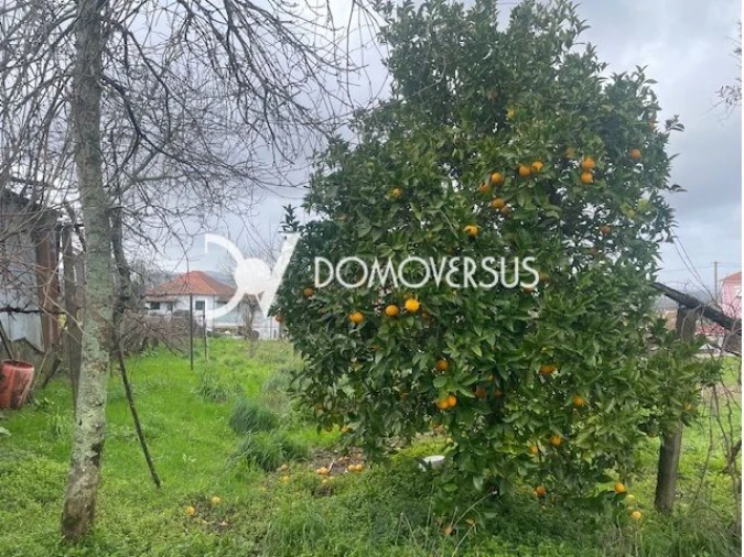 Moradia T2 para Venda em Melres e Medas Foto 17