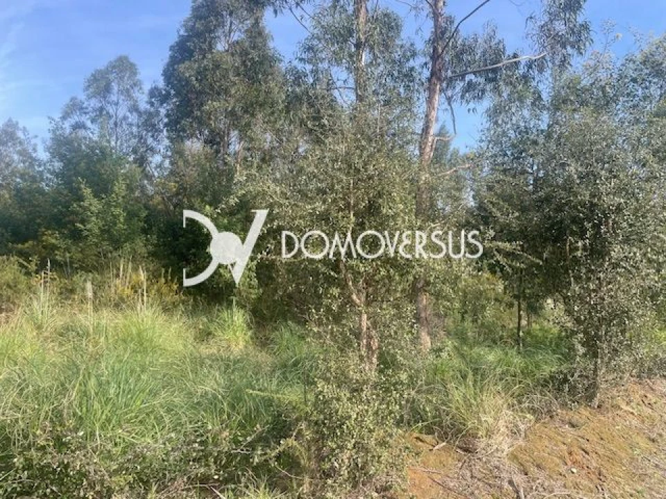 Terreno para Venda em Grijó e Sermonde Foto 3