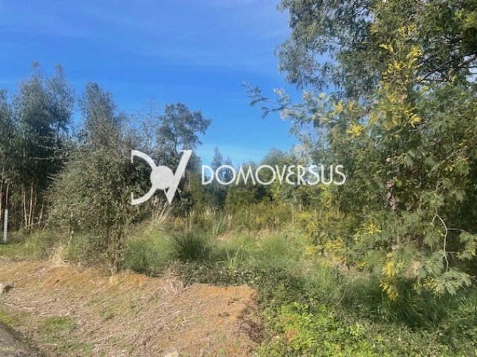 Terreno para Venda em Grijó e Sermonde Foto 5