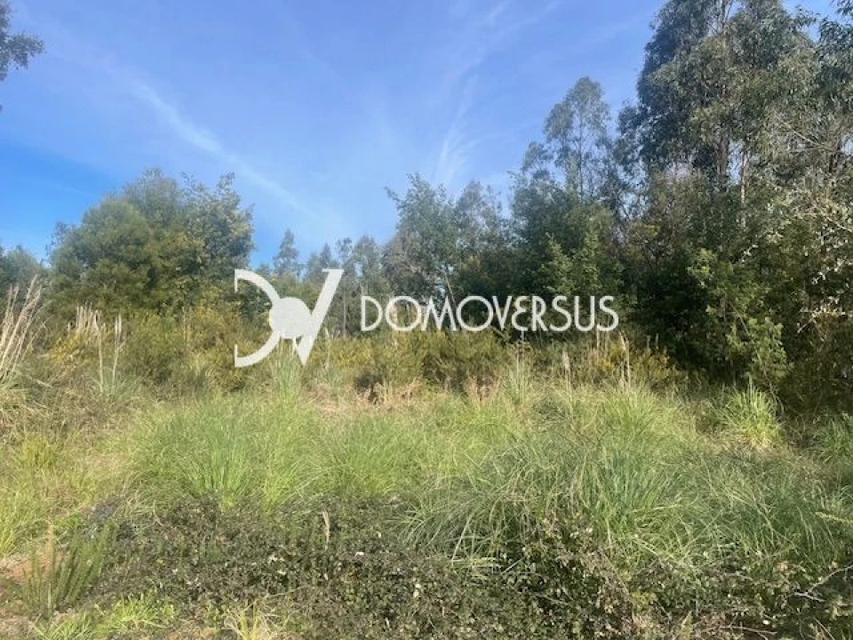 Terreno para Venda em Grijó e Sermonde Foto 2